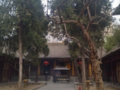 -罔极寺