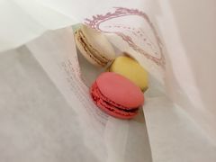 -Pierre Marcolini(德基广场店)