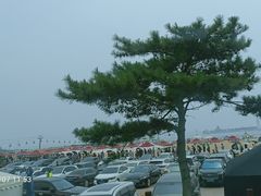 -南戴河旅游度假区