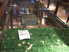 -十三道烧烤(保利西街店)