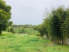 -良渚古城遗址公园