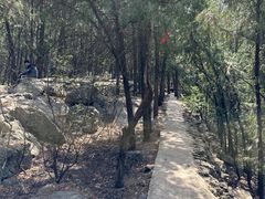 -云龙山