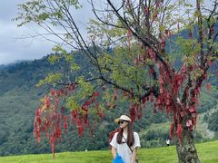 -硗碛藏寨·神木垒景区