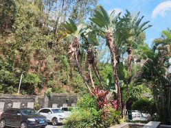 -爱丽馨御景月子中心