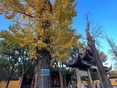 -西园戒幢律寺