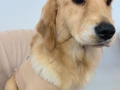 -怪兽屋·羊驼·猫咖·狗咖(俊华广场店)