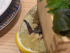 -大起水产回转寿司(大丸心斋桥店)