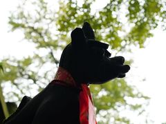 -金堂县云顶石城风景区