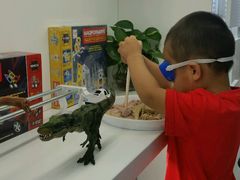 -斯坦星球AI编程·机器人科创·科学实验·信奥·思维·STEM·积木拼搭·竞赛考级(浦东联洋广场大拇指龙阳御桥中心)