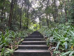 -广州市帽峰山景区