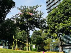 -景田北六街公园宠物主题园