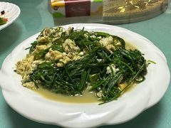 -煲来饱去冷水鱼