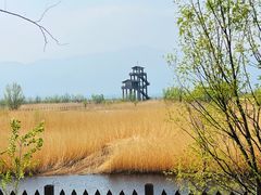 -野鸭湖国家湿地公园