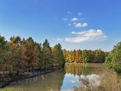 -上海海湾国家森林公园