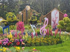 -上海共青森林公园