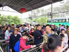 -九龙江国家森林公园