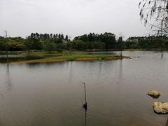 -松山湖南湖湾露营营地