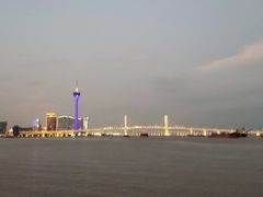 -芒洲湿地公园