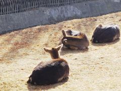 -宁波杭州湾国家湿地公园