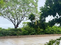 -瑰丽酒店·海吧·天际下午茶·现场DJ·天台酒吧
