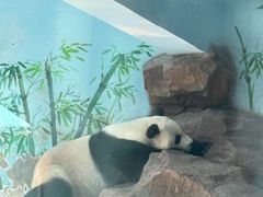 -济南野生动物世界