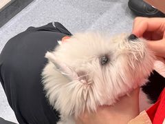 -上海静安大悦城