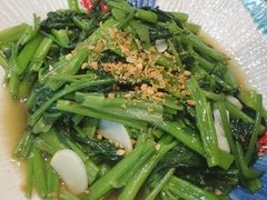 泰式空心菜-荷花泰菜(国贸商城店)