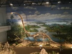 -自贡恐龙博物馆