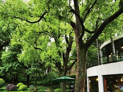 -申粤轩酒楼·三十年粤菜经典(丁香花园店)