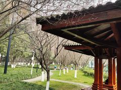 -温江公园
