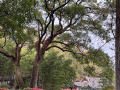 -岳麓山风景名胜区