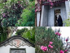 -深圳国际园林花卉博览园