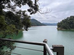 -广州市流溪河国家森林公园