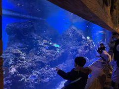 -华夏文旅海洋公园