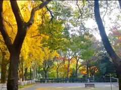 -苏州大学(天赐庄校区)