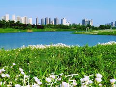 -洋湖国家湿地公园