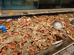 -一方渔歌蒸汽海鲜自助(文化路万达广场店)