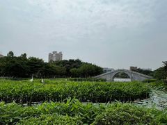 -映月湖公园