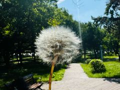 -吉林大学(前卫南区)