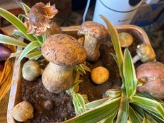 -福照楼汽锅鸡·云南特色菜(万达广场店)
