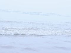 -江山半岛白浪滩景区