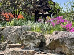 -狼山风景名胜区