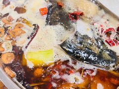 鱼头-肥婆麻辣火锅.顺德首创药材麻辣火锅(容桂店)