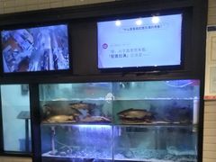 -鱼酷活鱼烤鱼(南京水游城店)