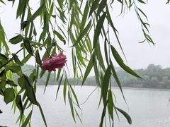 -三岔湖景区
