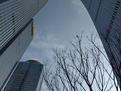 -淮香国色·淮扬菜(正大中心店)