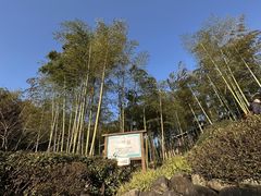 -江南天池高山汤泉城