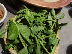 -阿婆情腊排骨火锅·野生菌季(古城旗舰店)