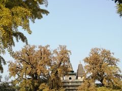 -北京石刻艺术博物馆(五塔寺)