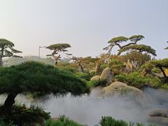 -罗红摄影艺术馆